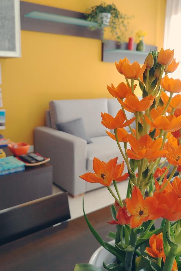 Bed & Breakfast Tiziana Castellammare del Golfo Εξωτερικό φωτογραφία